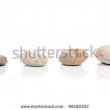 Stock Photo Orchid Laying On Stones 27025228